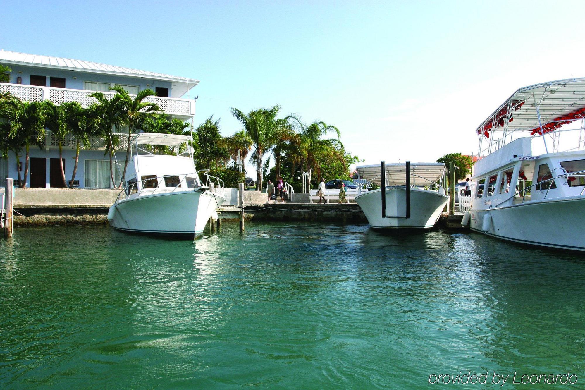 The Marlin At Taino Beach Resort Freeport Eksteriør bilde